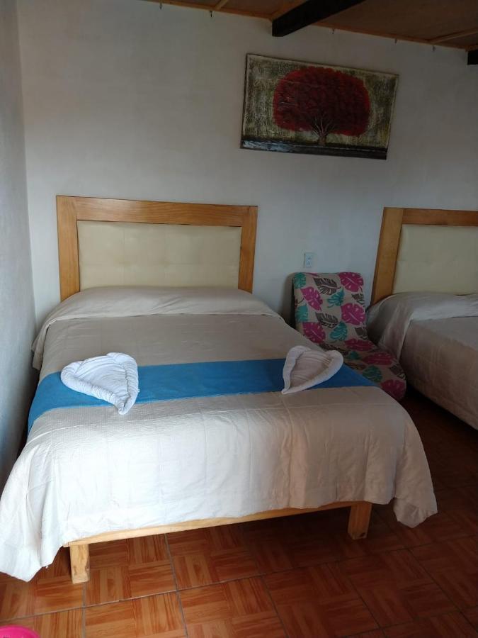 Cabaña tipo habitación con Palapa para 2 y 4 personas Zacatlán Exterior foto